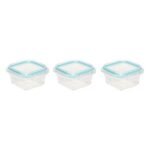 SET VAN 3 CLIPEAT POTTEN 0,18L L. 10,4 X B. 10,4 X H. 6 CM TRANSPARANT GLAS