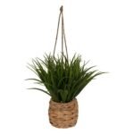 MODA HANGGRASPLANT HOOGTE 27 CM MET NATUURLIJKE VEZELPOT