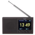 FM travel radio AD 1198