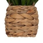 MODA HANGGRASPLANT HOOGTE 27 CM MET NATUURLIJKE VEZELPOT - Image 4