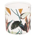 Palawan wattendispenser - Image 2