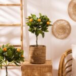 Set van 4 manden Emmet natuurlijk riet - Afbeelding 2